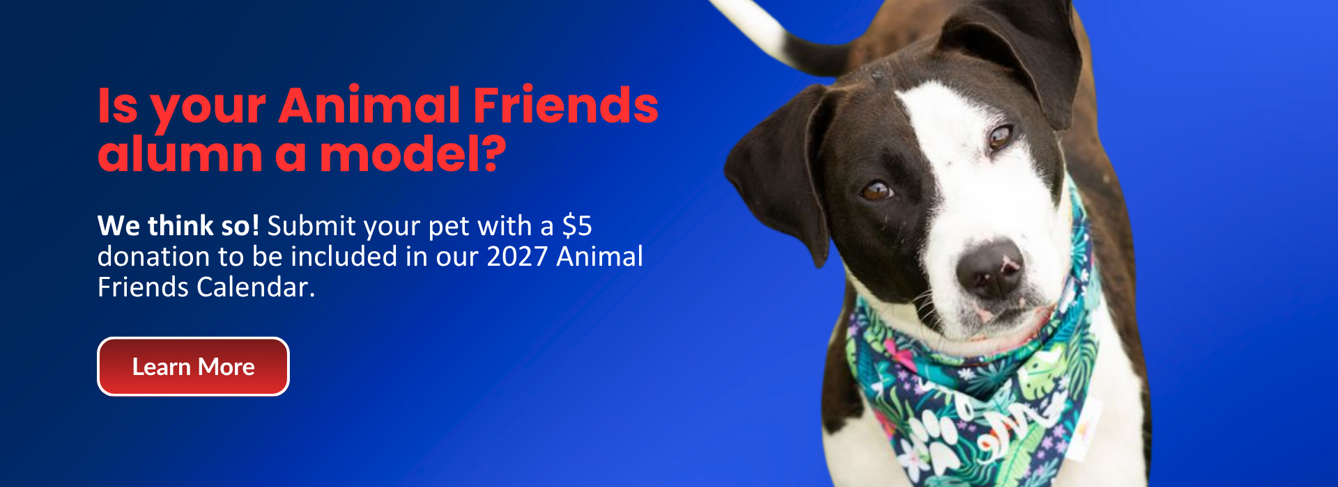 Animal Friends Calendar Submission